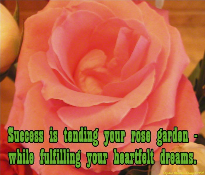 Your Rose Garden